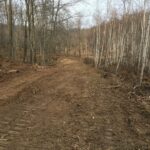 Trail Clearing in Colfax, WI